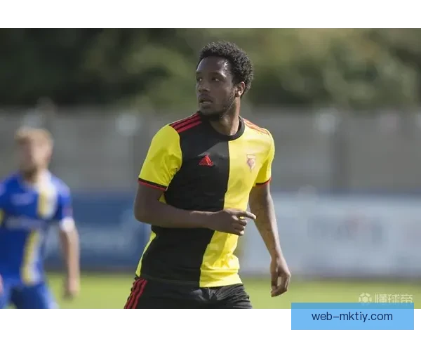 官方沃特福德任命斯蒂尔掌帅